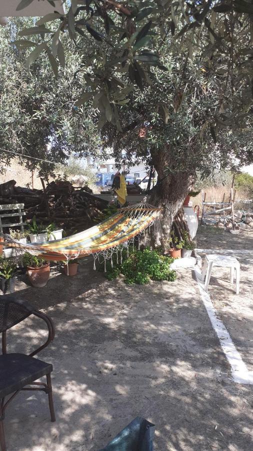 Вилла Olive Trees Порос Экстерьер фото